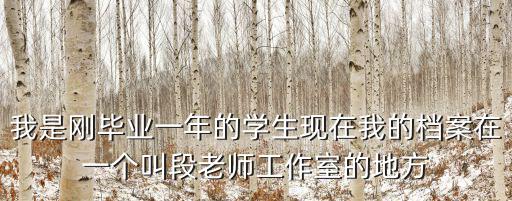 我是剛畢業一年的學生現在我的檔案在一個叫段老師工作室的地方