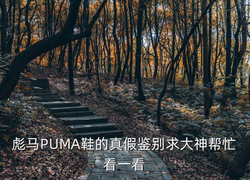 彪馬PUMA鞋的真假鑒別求大神幫忙看一看