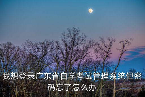 我想登錄廣東省自學(xué)考試管理系統(tǒng)但密碼忘了怎么辦