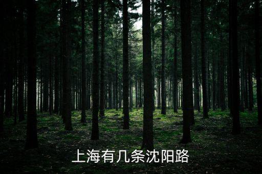 沈陽(yáng)路，上海有幾條沈陽(yáng)路
