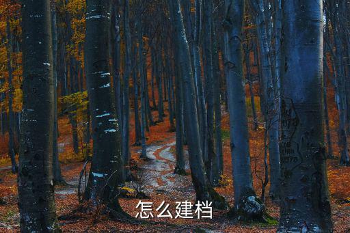 怎么建檔