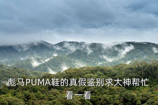 彪馬鞋子真假分辨，彪馬PUMA鞋的真假鑒別求大神幫忙看一看