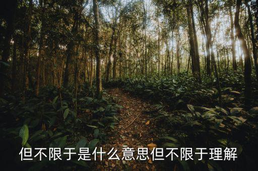 但不限于是什么意思但不限于理解