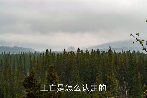 工亡認(rèn)定條件，環(huán)衛(wèi)工工傷死亡認(rèn)定有年齡限制嗎