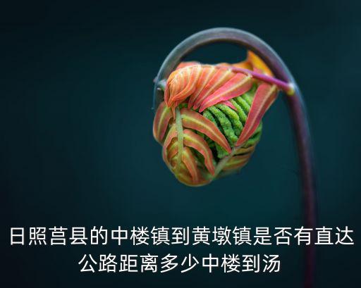 日照莒縣的中樓鎮到黃墩鎮是否有直達公路距離多少中樓到湯