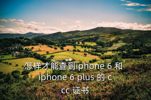 怎樣才能查到iphone 6 和 iphone 6 plus 的 ccc 證書