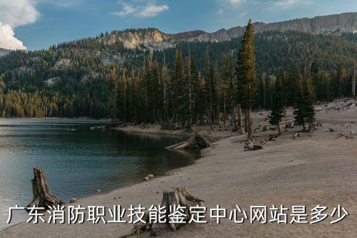 廣東省職業技能鑒定指導中心官網，廣州人力資源和社會保障局跟廣州職業技能鑒定指導中心有什么不同