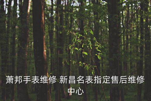 蕭邦手表維修 新昌名表指定售后維修中心