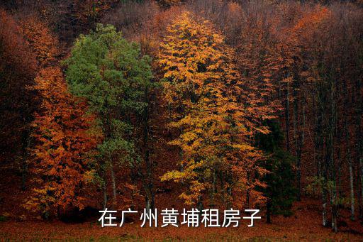 黃埔租房網，黃埔租房有推薦嗎