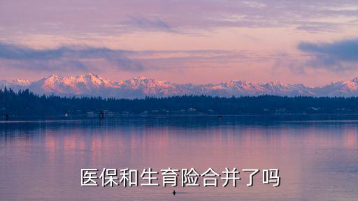 生育險(xiǎn)和醫(yī)療保險(xiǎn)合并，生育險(xiǎn)和醫(yī)保合并了嗎