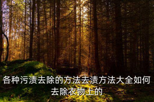 各種污漬去除的方法去漬方法大全如何去除衣物上的
