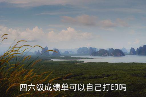四六級成績單可以自己打印嗎