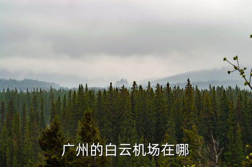 廣州的白云機場在哪