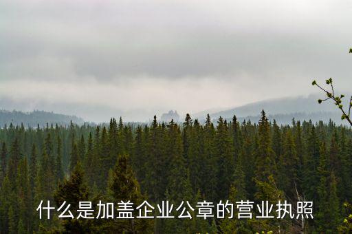 什么是加蓋企業(yè)公章的營業(yè)執(zhí)照
