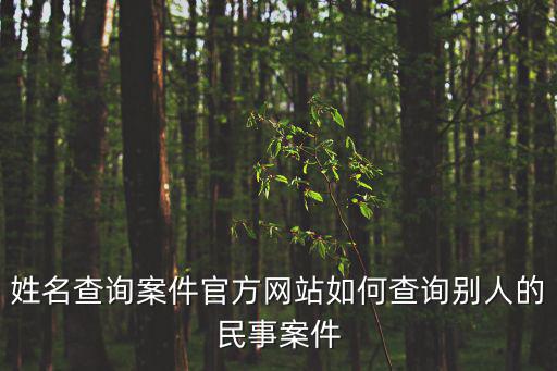姓名查詢案件官方網(wǎng)站如何查詢別人的民事案件