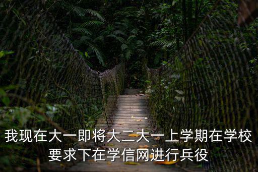 學信網兵役登記，學信網的兵役登記是干嘛用的有懂得么我填過了然后暫緩參軍