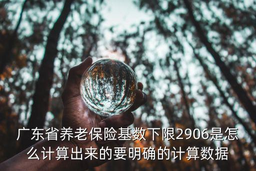 廣東省養(yǎng)老保險(xiǎn)基數(shù)下限2906是怎么計(jì)算出來的要明確的計(jì)算數(shù)據(jù)