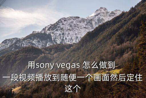 用sony vegas 怎么做到 一段視頻播放到隨便一個畫面然后定住這個