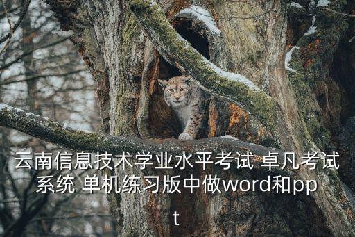 學業水平考試報名系統，往屆云南高中學業水平考試補考時間和應屆的一樣嗎卷子也一樣嗎