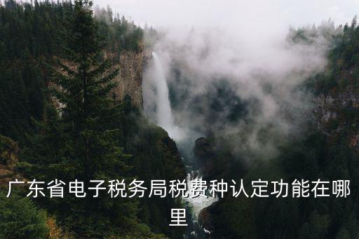 廣東省電子稅，廣東省電子稅務(wù)局個(gè)稅申報(bào)怎么填寫