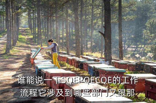 誰能說一下SQEPQECQE的工作流程它涉及到哪些部門又跟那