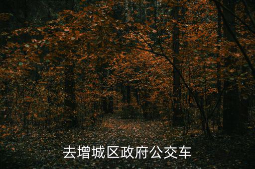去增城區政府公交車