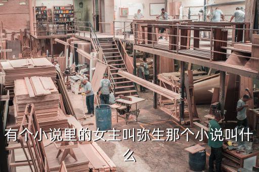 彌生寶寶來了，有個小說里的女主叫彌生那個小說叫什么