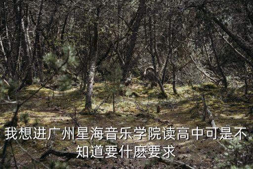 星海音樂學(xué)院招生要求，想考星海音樂學(xué)院的流行音樂演唱系有什么條件