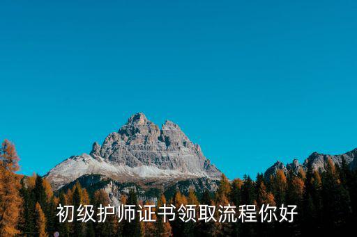 初級護師證書領取流程你好