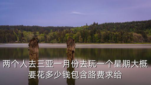 兩個人去三亞一月份去玩一個星期大概要花多少錢包含路費求給