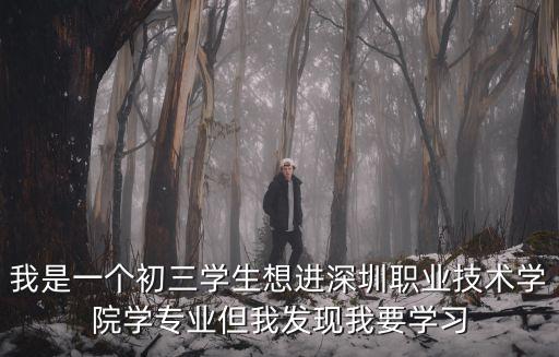 我是一個(gè)初三學(xué)生想進(jìn)深圳職業(yè)技術(shù)學(xué)院學(xué)專業(yè)但我發(fā)現(xiàn)我要學(xué)習(xí)