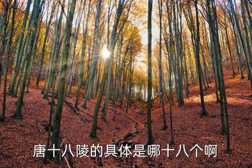 莊陵，唐十八陵的具體是哪十八個啊