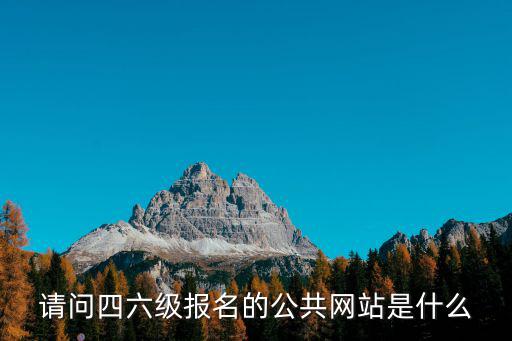 請問四六級報名的公共網站是什么