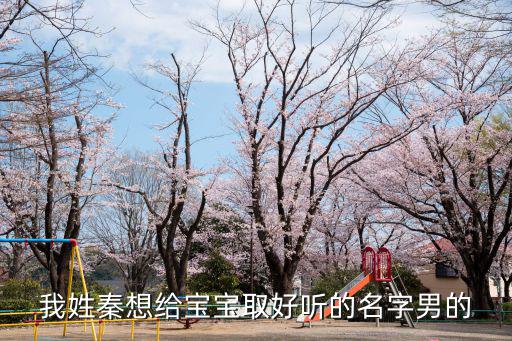 我姓秦想給寶寶取好聽的名字男的