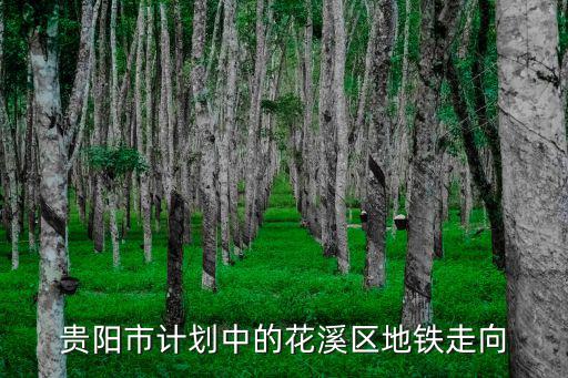 貴陽地鐵規劃，貴陽市計劃中的花溪區地鐵走向