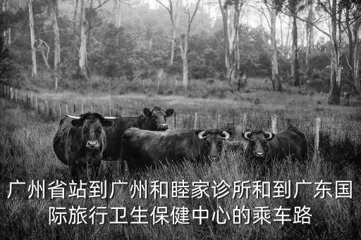 廣州省站到廣州和睦家診所和到廣東國際旅行衛生保健中心的乘車路