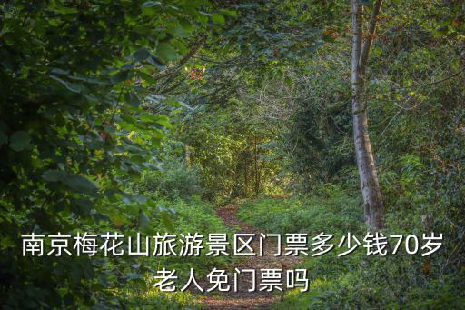 南京梅花山旅游景區門票多少錢70歲老人免門票嗎