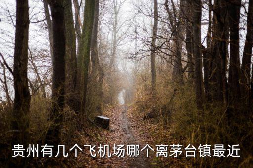 貴州有幾個飛機場哪個離茅臺鎮(zhèn)最近