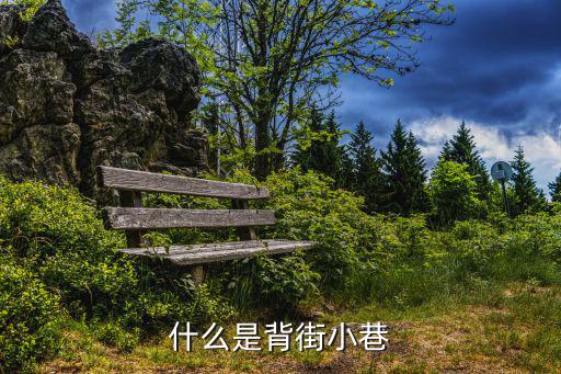 什么是背街小巷