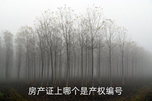 房產證上哪個是產權編號