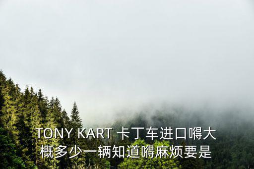 卡丁車多少錢一臺(tái)，TONY KART 卡丁車進(jìn)口嘚大概多少一輛知道嘚麻煩要是