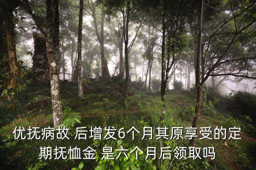 優(yōu)撫病故 后增發(fā)6個月其原享受的定期撫恤金 是六個月后領(lǐng)取嗎