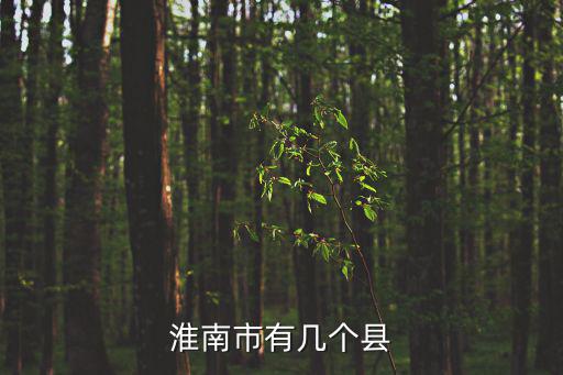 淮南市有幾個縣