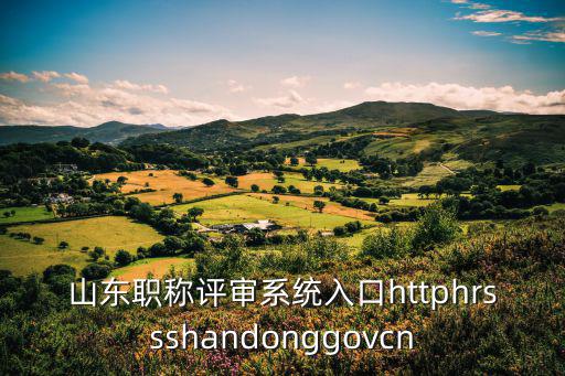 山東職稱評審系統入口httphrssshandonggovcn