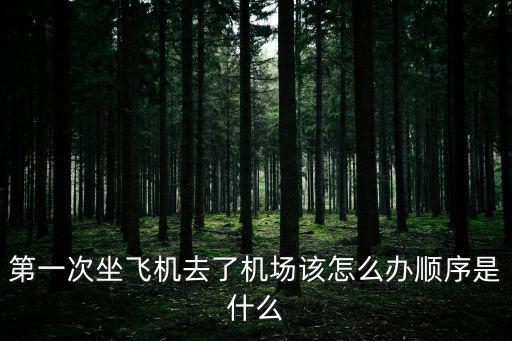 第一次坐飛機去了機場該怎么辦順序是什么