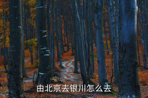 北京到銀川，由北京去銀川怎么去