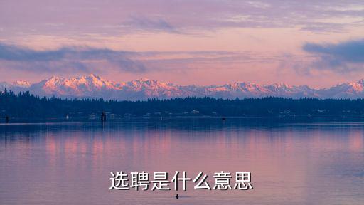 選聘是什么意思