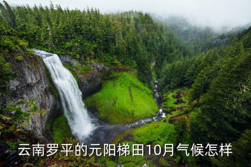 元陽梯田天氣預(yù)報(bào)，小雨天氣拍攝元陽梯田效果如何