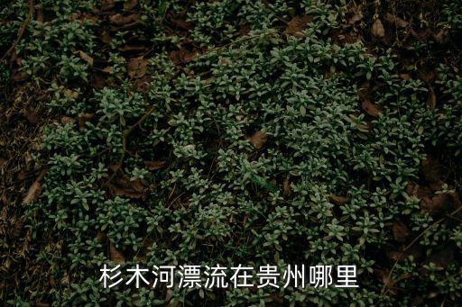 貴州漂流，貴陽桃源河漂流怎么樣