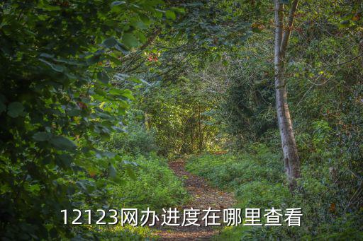 網辦進度，交管12123app罰款已繳但依然顯示未繳款網辦進度里也顯示已取